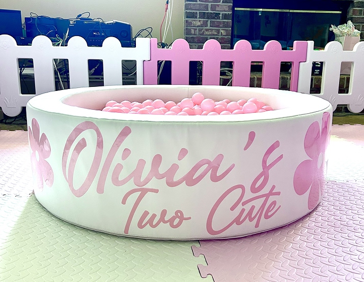 Custom decal designs for soft play to match every birthday party theme in Sarasota and surrounding areas