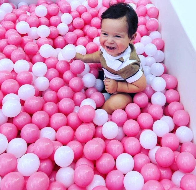 Large ball pit rental for toddler birthday party in Sarasota and nearby areas
