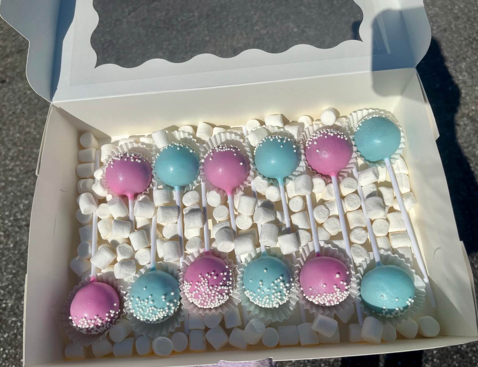 Custom cake pops to match any theme for birthday parties and special events around Sarasota