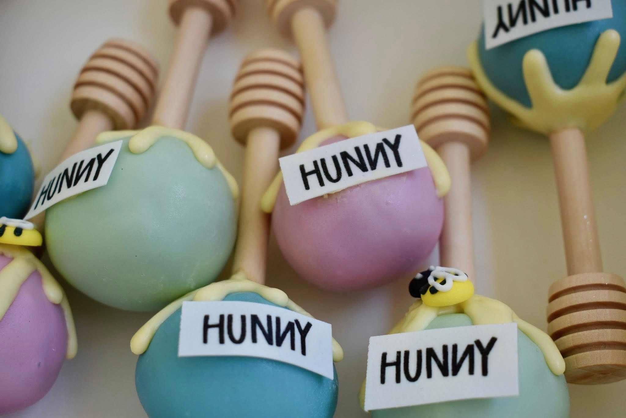 Custom cake pops to match any theme for birthday parties and special events around Sarasota